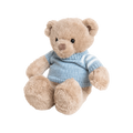 Peluche oso con sweater